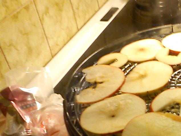 Här torkar jag äppleskivor i en svamptork som blir härligt goda äpplechips. Har man ingen svamptork så kan man torka äppleskivor på en plåt med smörpapper på svag värme. Lägg i en tätslutande burk och sätt på bordet så ni har det som godis framför Tv. Gott och nyttigt!