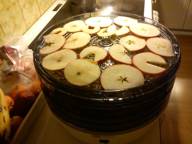 Här torkar jag äppleskivor i en svamptork som blir härligt goda äpplechips. Har man ingen svamptork så kan man torka äppleskivor på en plåt med smörpapper på svag värme. Lägg i en tätslutande burk och sätt på bordet så ni har det som godis framför Tv. Gott och nyttigt!