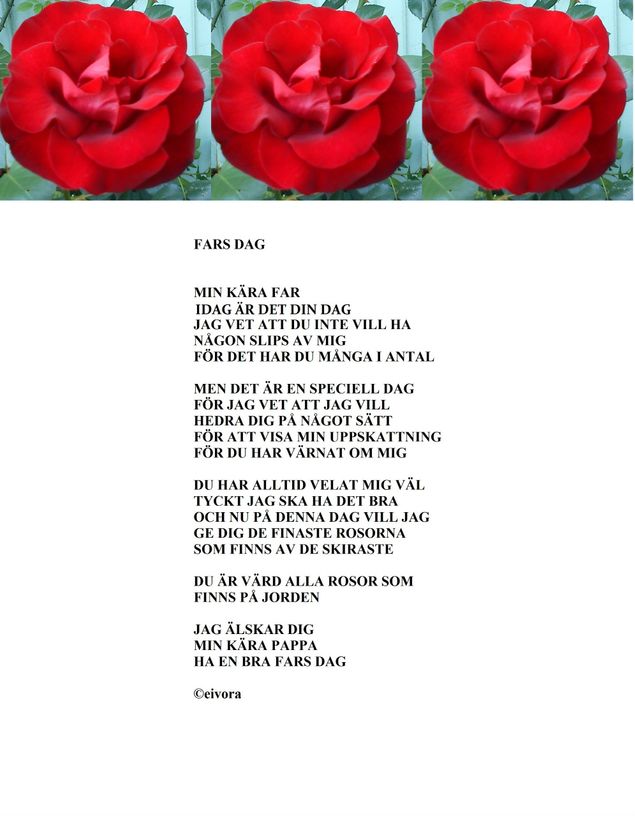 För sju år sedan skrev jag denna Fars Dags dikt till min far